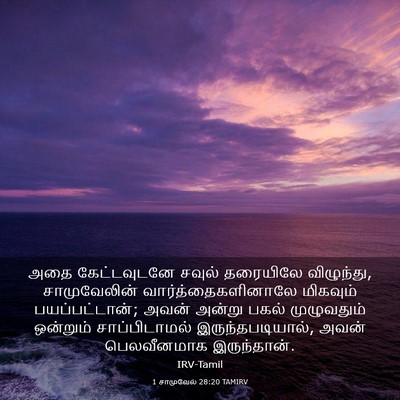Picture 03 - 1 சாமுவேல் 28:20 TAMIRV - அதை கேட்டவுடனே - Bible Verse Picture