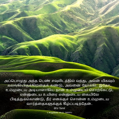 Picture 03 - 1 சாமுவேல் 28:21 TAMIRV - அப்பொழுது அந்த - Bible Verse Picture