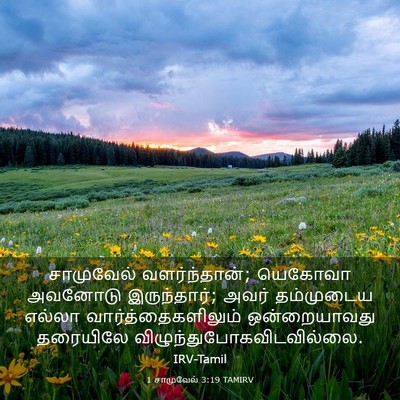 Picture 03 - 1 சாமுவேல் 3:19 TAMIRV - சாமுவேல் - Bible Verse Picture