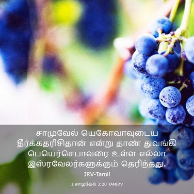 Picture 03 - 1 சாமுவேல் 3:20 TAMIRV - சாமுவேல் - Bible Verse Picture