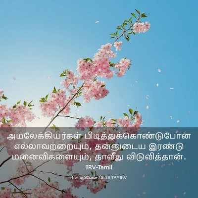 Picture 03 - 1 சாமுவேல் 30:18 TAMIRV - அமலேக்கியர்கள் - Bible Verse Picture