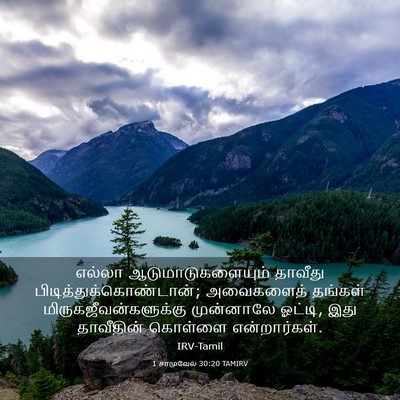 Picture 03 - 1 சாமுவேல் 30:20 TAMIRV - எல்லா - Bible Verse Picture