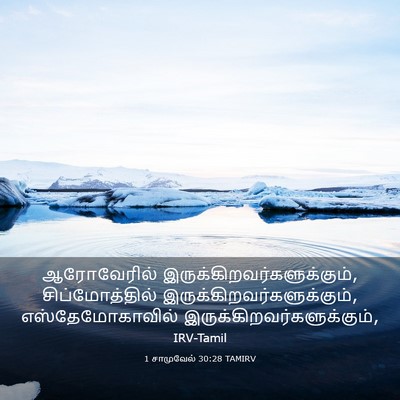 Picture 03 - 1 சாமுவேல் 30:28 TAMIRV - ஆரோவேரில் - Bible Verse Picture