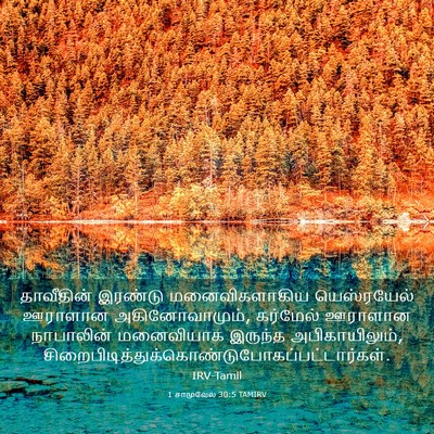 Picture 03 - 1 சாமுவேல் 30:5 TAMIRV - தாவீதின் இரண்டு - Bible Verse Picture