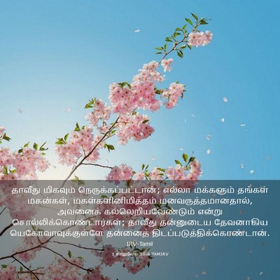 Picture 03 - 1 சாமுவேல் 30:6 TAMIRV - தாவீது மிகவும் - Bible Verse Picture