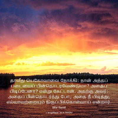 Picture 03 - 1 சாமுவேல் 30:8 TAMIRV - தாவீது யெகோவாவை - Bible Verse Picture