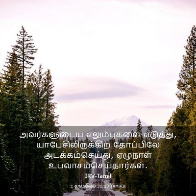 Picture 03 - 1 சாமுவேல் 31:13 TAMIRV - அவர்களுடைய - Bible Verse Picture