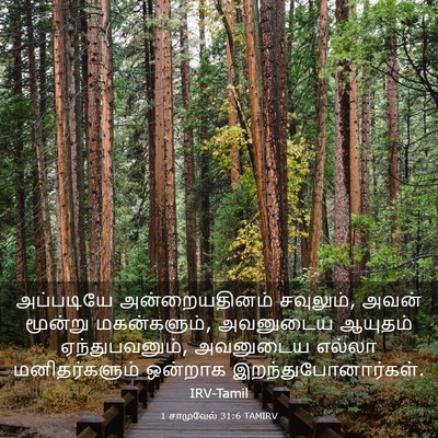 Picture 03 - 1 சாமுவேல் 31:6 TAMIRV - அப்படியே - Bible Verse Picture