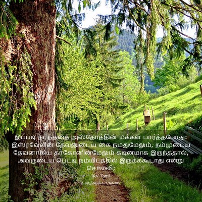 Picture 03 - 1 சாமுவேல் 5:7 TAMIRV - இப்படி நடந்ததை - Bible Verse Picture