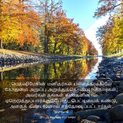 Picture 03 - 1 சாமுவேல் 6:13 TAMIRV - பெத்ஷிமேசின் - Bible Verse Picture