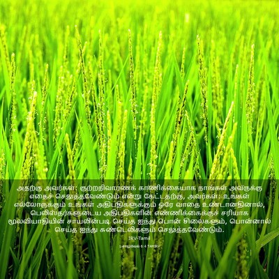 Picture 03 - 1 சாமுவேல் 6:4 TAMIRV - அதற்கு அவர்கள்: - Bible Verse Picture