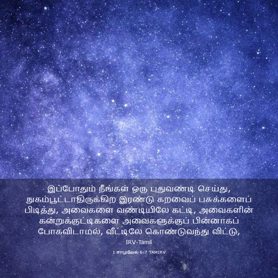 Picture 03 - 1 சாமுவேல் 6:7 TAMIRV - இப்போதும் நீங்கள் - Bible Verse Picture
