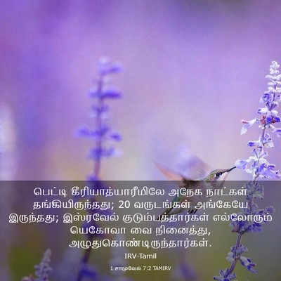 Picture 03 - 1 சாமுவேல் 7:2 TAMIRV - பெட்டி - Bible Verse Picture