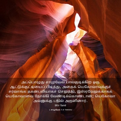 Picture 03 - 1 சாமுவேல் 7:9 TAMIRV - அப்பொழுது - Bible Verse Picture