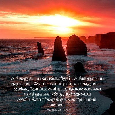 Picture 03 - 1 சாமுவேல் 8:14 TAMIRV - உங்களுடைய - Bible Verse Picture