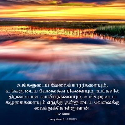 Picture 03 - 1 சாமுவேல் 8:16 TAMIRV - உங்களுடைய - Bible Verse Picture