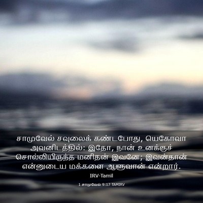 Picture 03 - 1 சாமுவேல் 9:17 TAMIRV - சாமுவேல் சவுலைக் - Bible Verse Picture