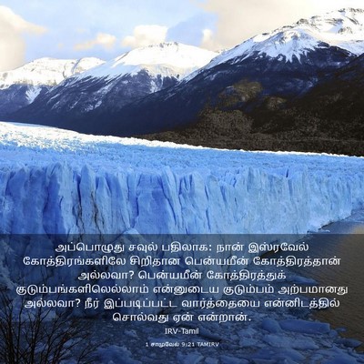 Picture 03 - 1 சாமுவேல் 9:21 TAMIRV - அப்பொழுது சவுல் - Bible Verse Picture