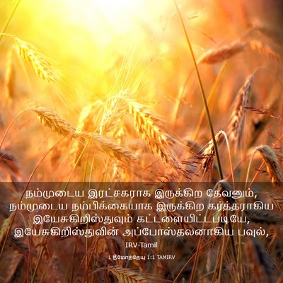 Picture 03 - 1 தீமோத்தேயு 1:1 TAMIRV - நம்முடைய - Bible Verse Picture