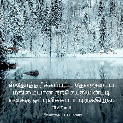 Picture 03 - 1 தீமோத்தேயு 1:11 TAMIRV -  - Bible Verse Picture