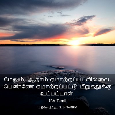 Picture 03 - 1 தீமோத்தேயு 2:14 TAMIRV - மேலும், ஆதாம் - Bible Verse Picture
