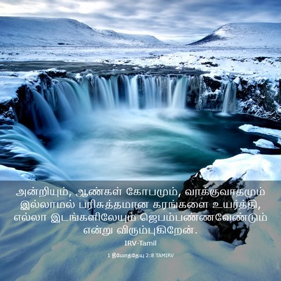 Picture 03 - 1 தீமோத்தேயு 2:8 TAMIRV - அன்றியும், ஆண்கள் - Bible Verse Picture