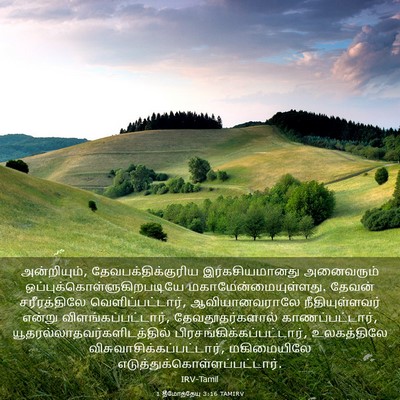 Picture 03 - 1 தீமோத்தேயு 3:16 TAMIRV - அன்றியும், - Bible Verse Picture