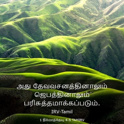 Picture 03 - 1 தீமோத்தேயு 4:5 TAMIRV - அது - Bible Verse Picture