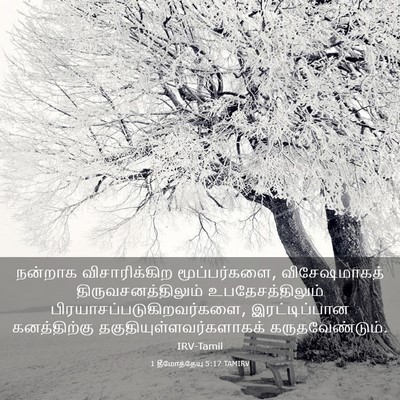 Picture 03 - 1 தீமோத்தேயு 5:17 TAMIRV - நன்றாக - Bible Verse Picture