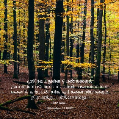 Picture 03 - 1 தீமோத்தேயு 5:2 TAMIRV - முதிர்வயதுள்ள - Bible Verse Picture