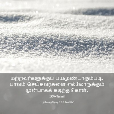 Picture 03 - 1 தீமோத்தேயு 5:20 TAMIRV - மற்றவர்களுக்குப் - Bible Verse Picture