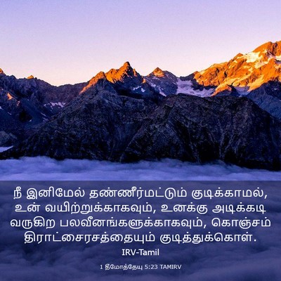 Picture 03 - 1 தீமோத்தேயு 5:23 TAMIRV - நீ இனிமேல் - Bible Verse Picture