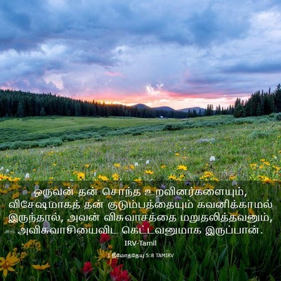 Picture 03 - 1 தீமோத்தேயு 5:8 TAMIRV - ஒருவன் தன் சொந்த - Bible Verse Picture