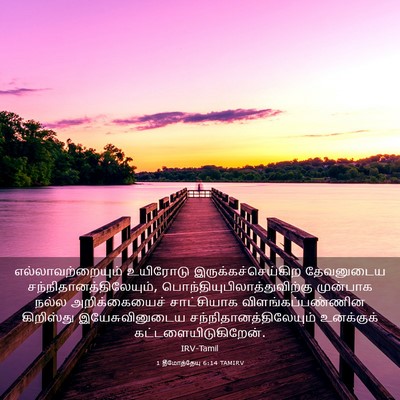 Picture 03 - 1 தீமோத்தேயு 6:14 TAMIRV - எல்லாவற்றையும் - Bible Verse Picture