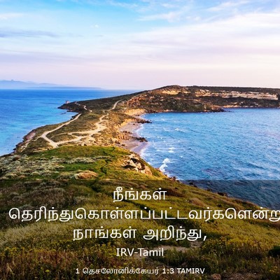 Picture 03 - 1 தெசலோனிக்கேயர் 1:3 TAMIRV - நீங்கள் - Bible Verse Picture
