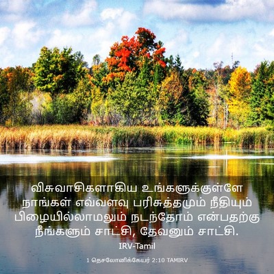 Picture 03 - 1 தெசலோனிக்கேயர் 2:10 TAMIRV - விசுவாசிகளாகிய - Bible Verse Picture