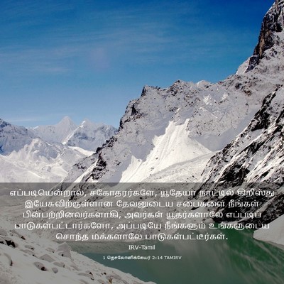 Picture 03 - 1 தெசலோனிக்கேயர் 2:14 TAMIRV - எப்படியென்றால், - Bible Verse Picture