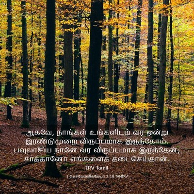 Picture 03 - 1 தெசலோனிக்கேயர் 2:18 TAMIRV - ஆகவே, நாங்கள் - Bible Verse Picture