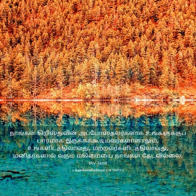Picture 03 - 1 தெசலோனிக்கேயர் 2:6 TAMIRV - நாங்கள் - Bible Verse Picture
