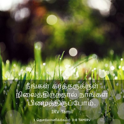 Picture 03 - 1 தெசலோனிக்கேயர் 3:8 TAMIRV - நீங்கள் - Bible Verse Picture