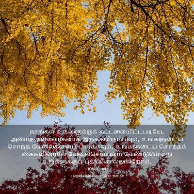 Picture 03 - 1 தெசலோனிக்கேயர் 4:12 TAMIRV - நாங்கள் - Bible Verse Picture