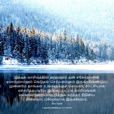 Picture 03 - 1 தெசலோனிக்கேயர் 4:6 TAMIRV - இந்தக் - Bible Verse Picture
