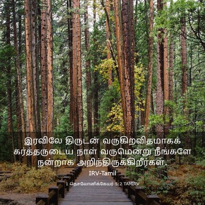Picture 03 - 1 தெசலோனிக்கேயர் 5:2 TAMIRV - இரவிலே திருடன் - Bible Verse Picture