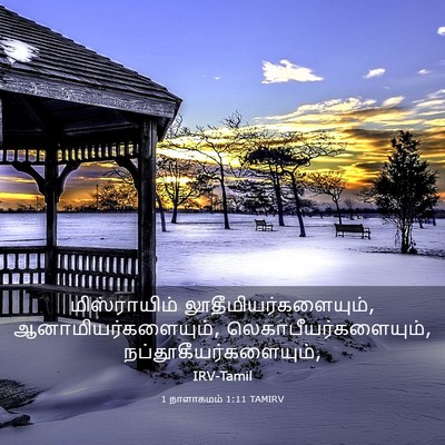 Picture 03 - 1 நாளாகமம் 1:11 TAMIRV - மிஸ்ராயிம் - Bible Verse Picture