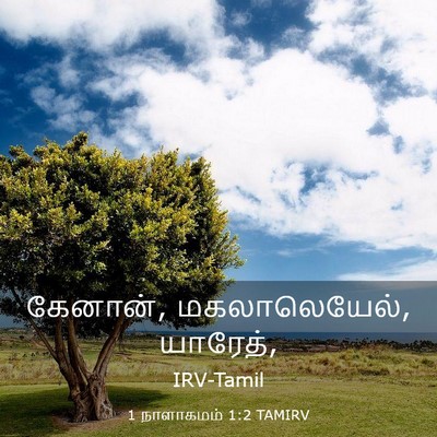 Picture 03 - 1 நாளாகமம் 1:2 TAMIRV - கேனான், - Bible Verse Picture