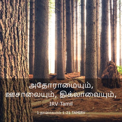 Picture 03 - 1 நாளாகமம் 1:21 TAMIRV - அதோராமையும், - Bible Verse Picture
