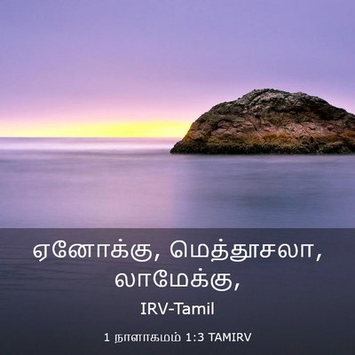 Picture 03 - 1 நாளாகமம் 1:3 TAMIRV - ஏனோக்கு, - Bible Verse Picture