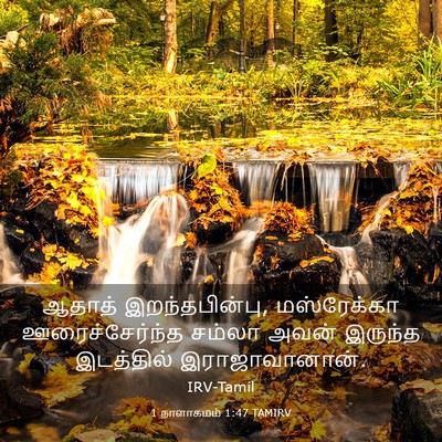 Picture 03 - 1 நாளாகமம் 1:47 TAMIRV - ஆதாத் - Bible Verse Picture
