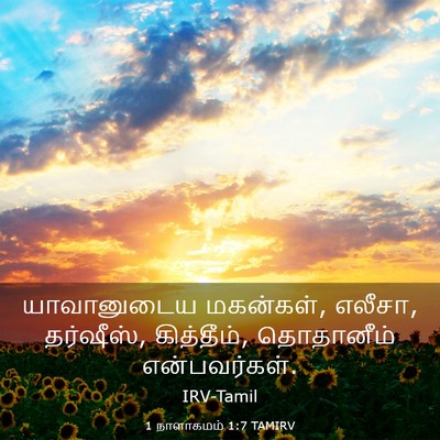 Picture 03 - 1 நாளாகமம் 1:7 TAMIRV - யாவானுடைய - Bible Verse Picture