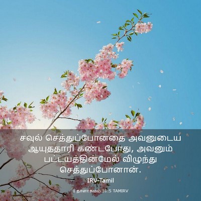 Picture 03 - 1 நாளாகமம் 10:5 TAMIRV - சவுல் - Bible Verse Picture